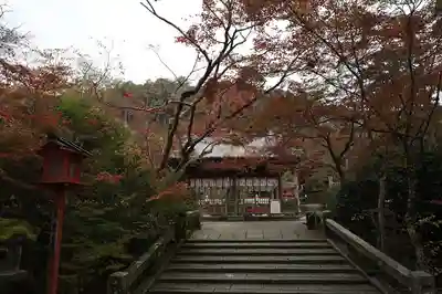 鍬山神社(京都府)