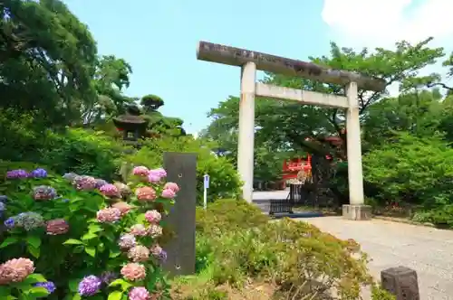 千葉神社の鳥居