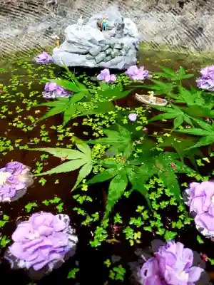 陽運寺(東京都)