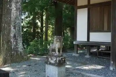 奥泉大井神社の狛犬