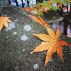 滑川神社 - 仕事と子どもの守り神の建物その他