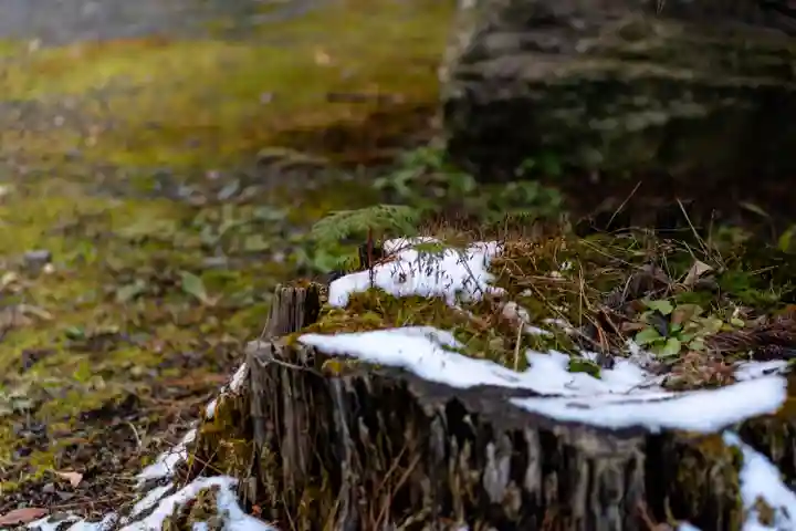 穂高神社本宮(長野県)