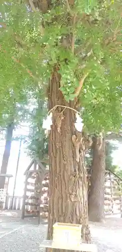 草加神社のその他建物