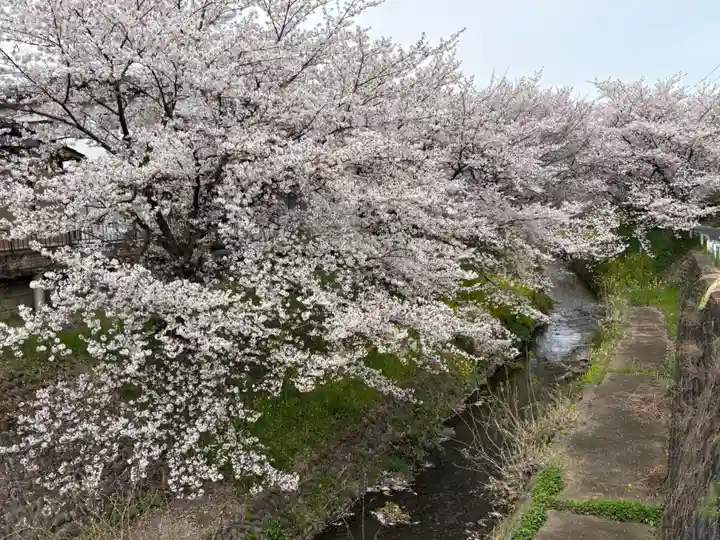 瀧宮神社(埼玉県)