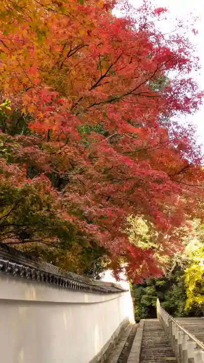 知恩院(京都府)