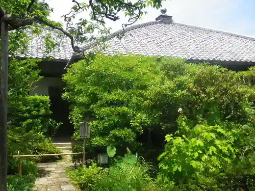 東慶寺の庭園