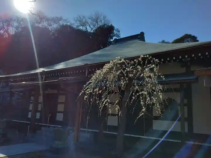 貞昌寺(神奈川県)