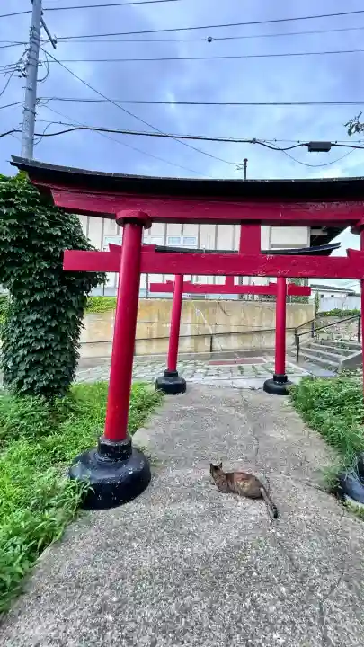 入舟稲荷神社(北海道)
