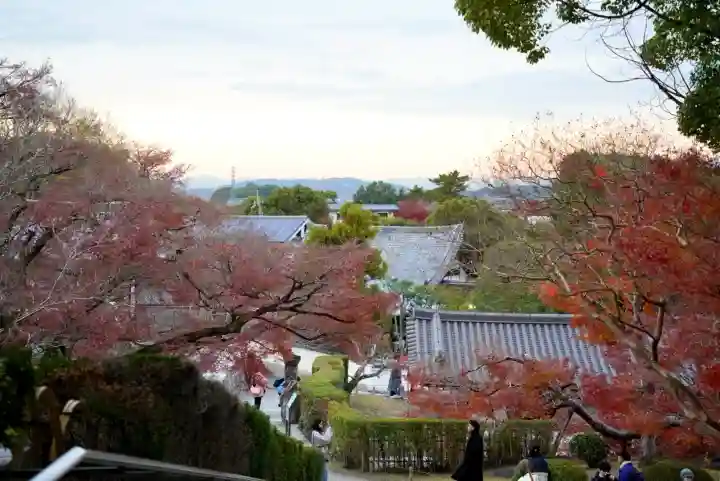 平等院(京都府)