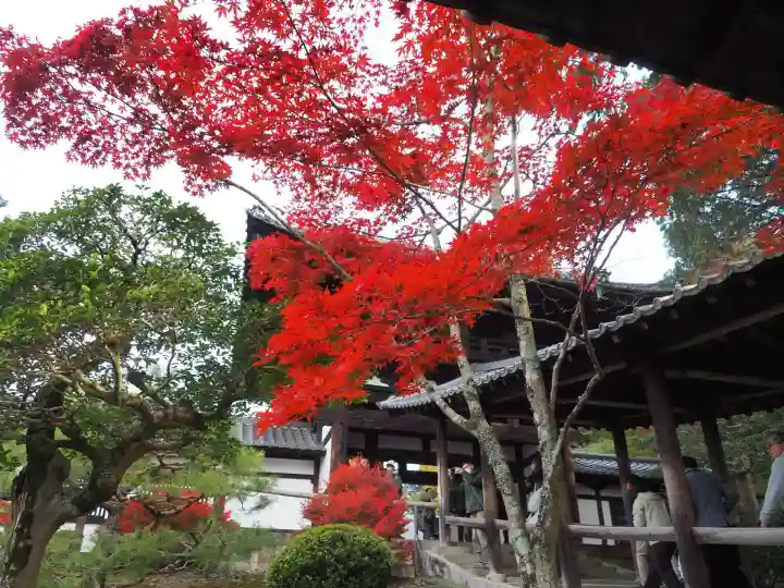 東福禅寺(東福寺)(京都府)