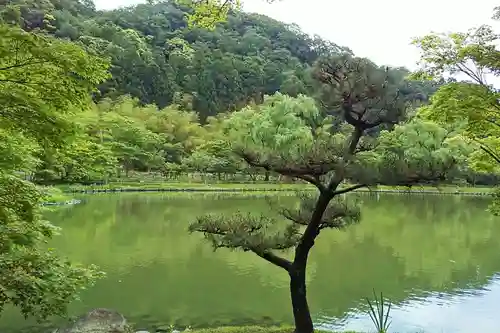 白水阿弥陀堂の庭園