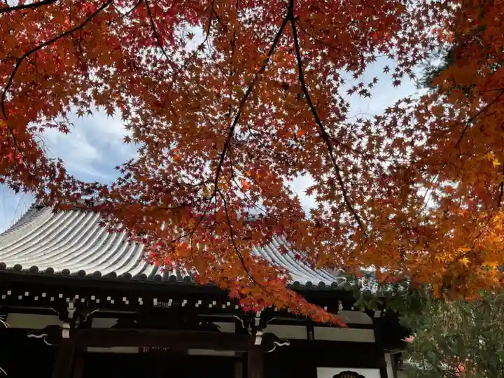 大正寺のその他建物
