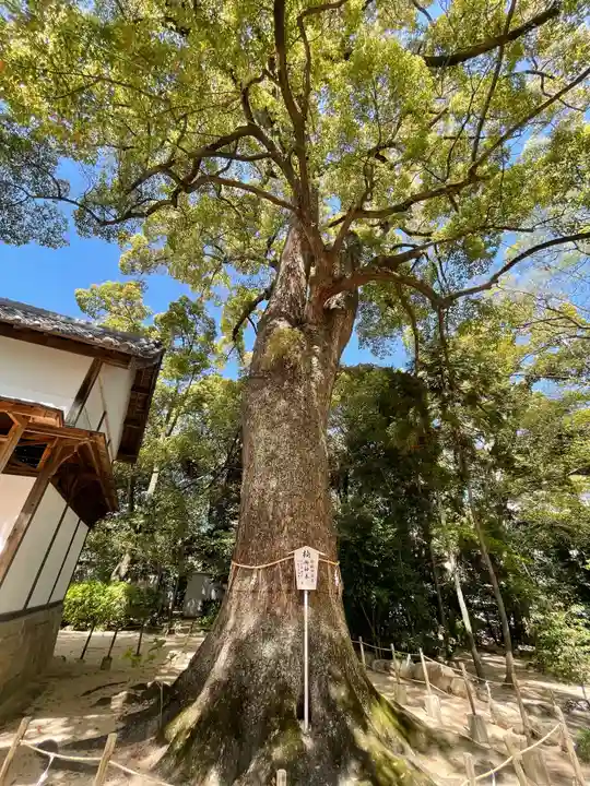 生瀬皇太神社の自然