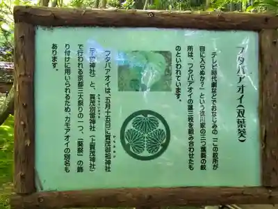 祇王寺(京都府)