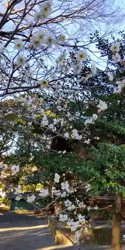 宗我神社(神奈川県)