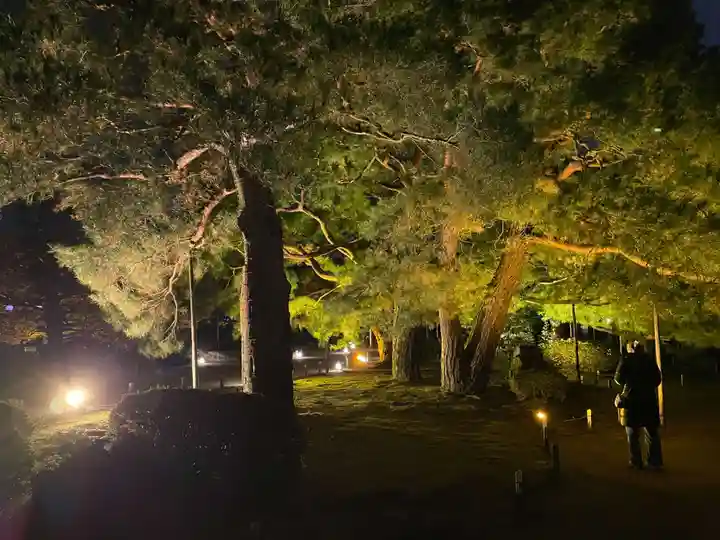 平安神宮の自然