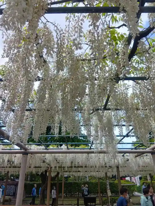 曼陀羅寺(愛知県)