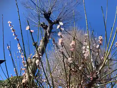 永谷天満宮(神奈川県)