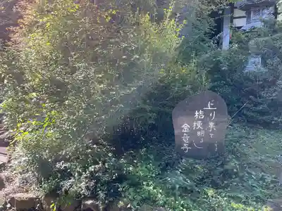 金龍寺(群馬県)