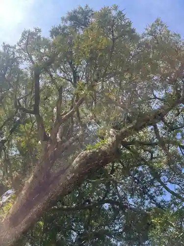 鶴谷八幡宮(千葉県)