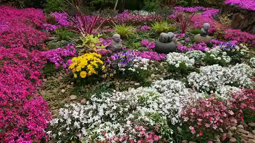 寿量山　速成寺の庭園