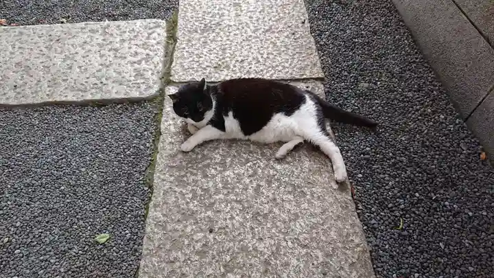 柳森神社の動物