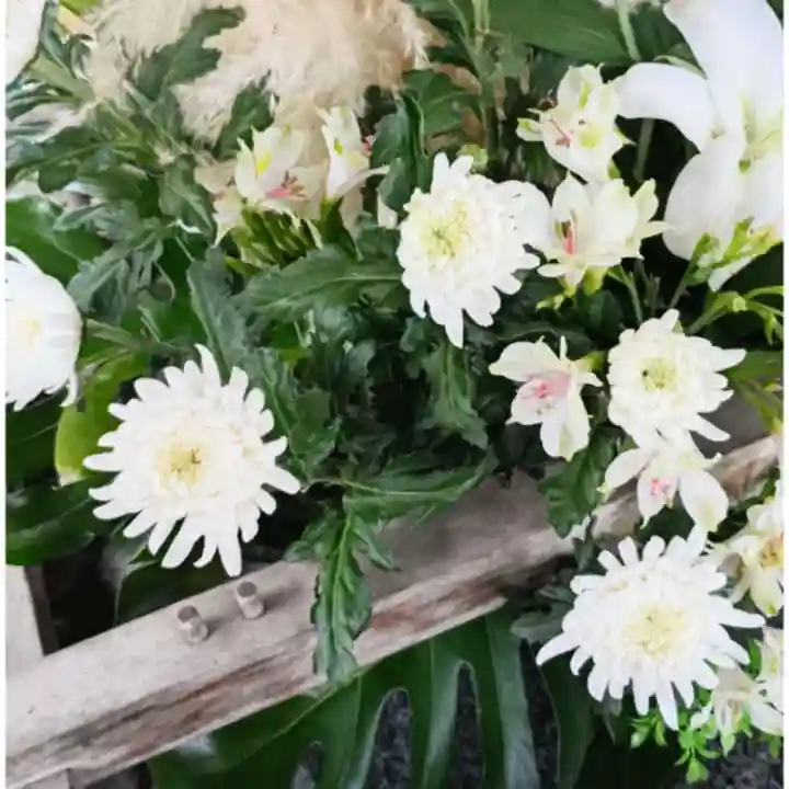 彌彦神社 (伊夜日子神社)の手水舎