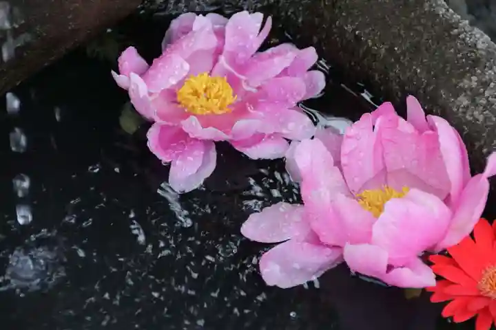 大鏑神社の手水舎