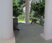 屋久島大社の動物