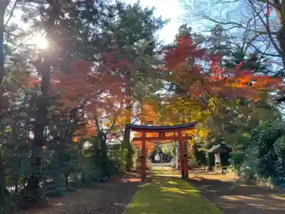 鹿嶋神社の鳥居
