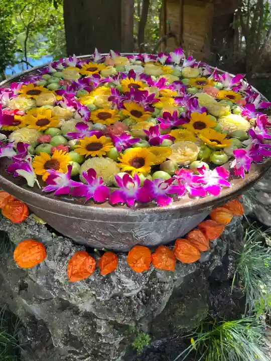 武蔵一宮氷川神社(埼玉県)