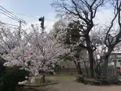 舞子六神社の自然