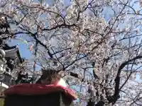 伊部波島大神(新潟県)