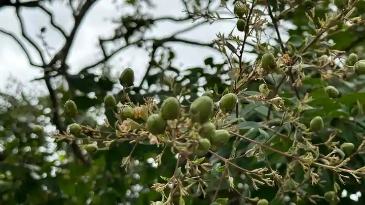 延命寺(宮城県)