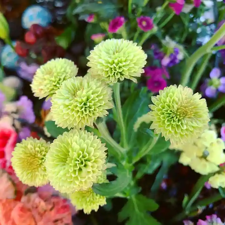 滑川神社 - 仕事と子どもの守り神の手水舎