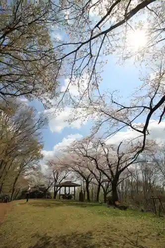 浅間神社(神奈川県)