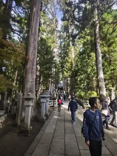 高野山金剛峯寺奥の院(和歌山県)