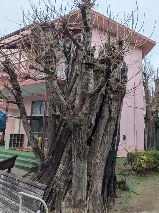 光円寺(東京都)