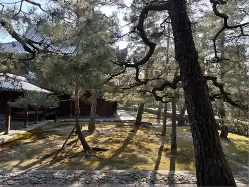 大徳寺(京都府)