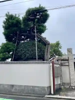 長安寺(東京都)