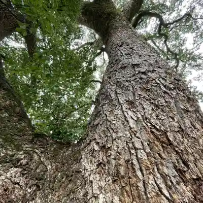 金剛宝寺（紀三井寺）(和歌山県)