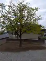 児泉神社(埼玉県)