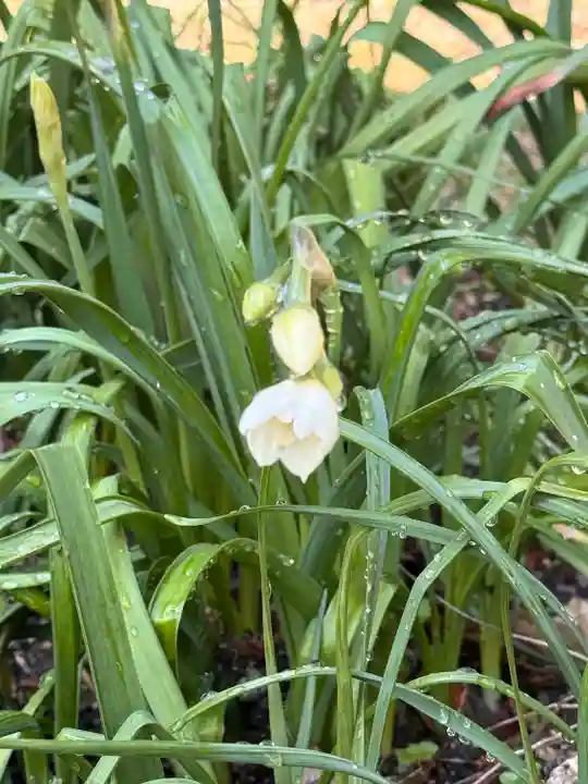 駒形大重神社(奈良県)