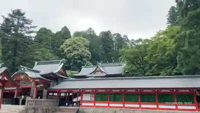 霧島神宮(鹿児島県)
