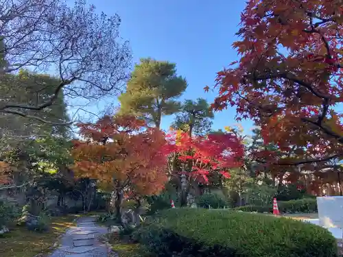 養徳院(京都府)