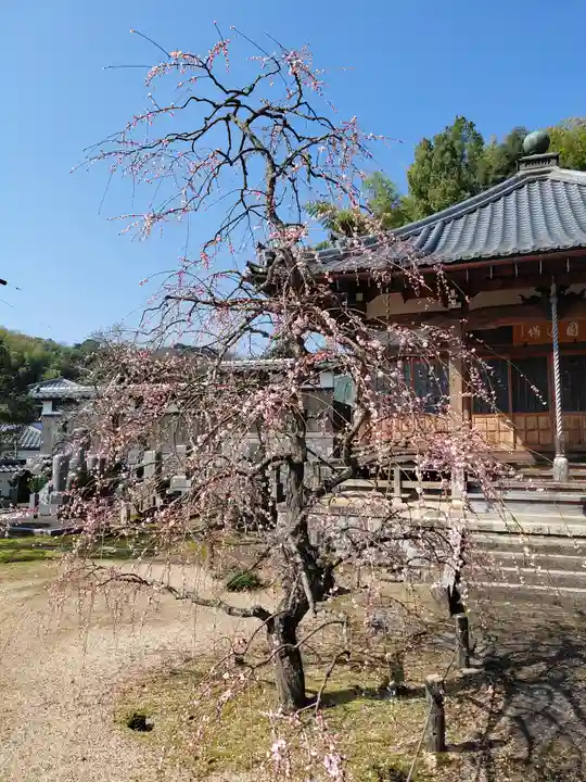 雲門寺(京都府)