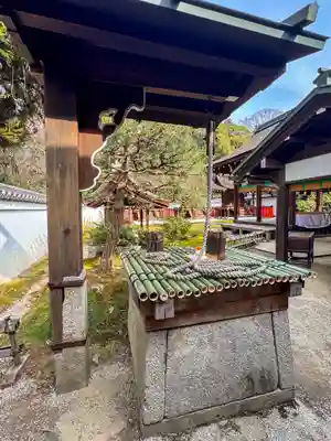 賀茂御祖神社（下鴨神社）(京都府)