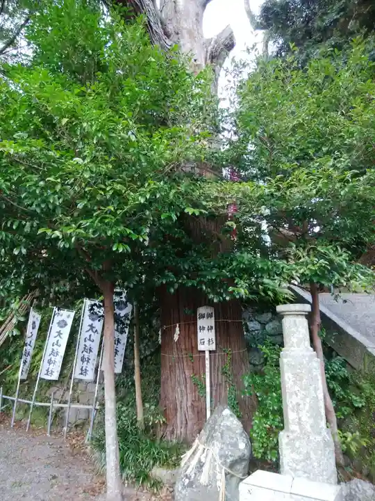大山祇神社(三重県)