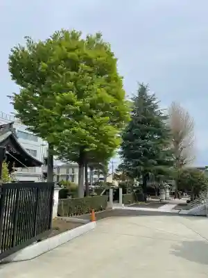 宝泉寺の{uncategorized: "未分類", other: "その他", undefined: "問題あり", building: "その他建物", grave: "お墓", sacred_gate: "鳥居", guardian: "狛犬", statue: "像", buddha: "仏像", history: "歴史", nature: "自然", garden: "庭園", animal: "動物", pagoda: "塔", temizu: "手水舎", mountain_gate: "山門・神門", sanctuary: "本殿・本堂", subordinate: "末社・摂社", art: "芸術", scenery: "景色", jizo: "地蔵", ema: "絵馬", goshuin: "御朱印", omikuji: "おみくじ", items: "授与品その他", amulet: "お守り", goshuincho: "御朱印帳", eats: "食事", festival: "お祭り", votive_dance: "神楽", shichigosan: "七五三参", wedding: "結婚式", experience: "体験その他", initially: "初詣", around: "周辺", anti_infection: "感染症対策"}