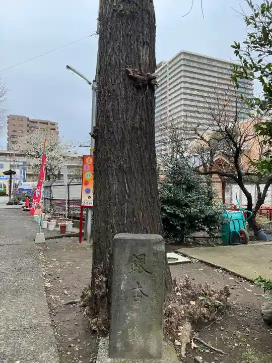 磐井神社の自然